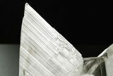 Glassy Selenite Cluster w/ Hematite Phantoms - Naica Mine, Mexico #374043-1